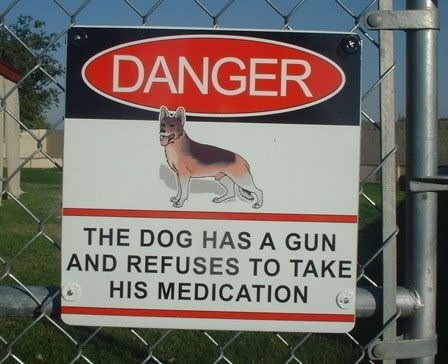 perro peligroso
